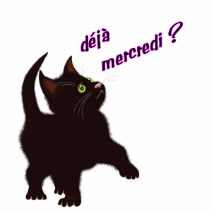 Gif animé Bon mercredi chat